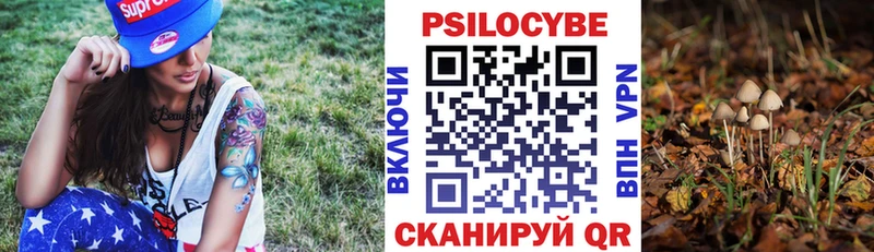 Галлюциногенные грибы Psilocybe  Купить  Глазов 